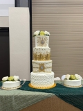 Pastel-de-bodas-en-Aurora-co-2024-10