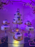 Pasteles-Cisne-Spring-Fling-Cakes-Pasteles-de-15-anos-2024-159