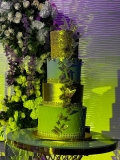 Pasteles-Cisne-Spring-Fling-Cakes-Pasteles-de-15-anos-2024-198