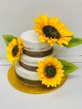 Pasteles-Cisne-Spring-Fling-Cakes-Pasteles-de-15-anos-2024-265