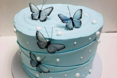 Pasteles-de-Mariposa-in-Aurora-CO-Butterfly-in-Aurora-CO-Cakes-in-Aurora-CO-Pasteles-in-Aurora-CO-1