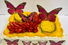 Pasteles-de-Mariposa-in-Aurora-CO-Butterfly-in-Aurora-CO-Cakes-in-Aurora-CO-Pasteles-in-Aurora-CO-3