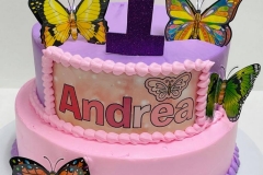 Pasteles-de-Mariposa-in-Aurora-CO-Butterfly-in-Aurora-CO-Cakes-in-Aurora-CO-Pasteles-in-Aurora-CO-4