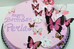 Pasteles-de-Mariposa-in-Aurora-CO-Butterfly-in-Aurora-CO-Cakes-in-Aurora-CO-Pasteles-in-Aurora-CO-6